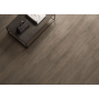 SANT'AGOSTINO CERAMICHE PRIMEWOOD BROWN NATURALE 20X120 Rectified