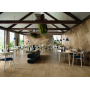 SANT'AGOSTINO CERAMICHE PRIMEWOOD NATURAL NATURALE 20X120 Rectified