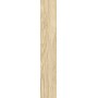 SANT'AGOSTINO CERAMICHE SUNWOOD LIGHT NATURALE 10X60 Rectified - 9MM