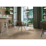 ATLAS CONCORDE DIESIS BEIGE MATT 60X60 RECTIFIED