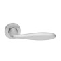 ATHENA LAYLA HANDLE