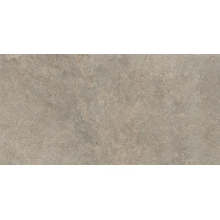RAGNO CERAMICHE RICHMOND MUSK 60X120 RETT.