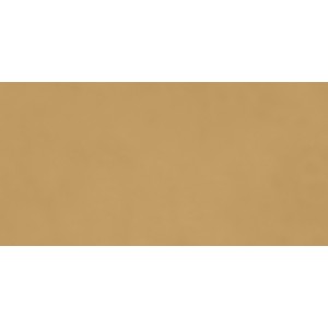 RAGNO CERAMICHE DECORA SENAPE 60X120 RECT