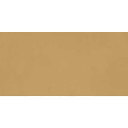 RAGNO CERAMICHE DECORA SENAPE 60X120 RECT