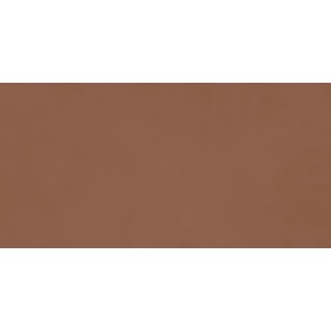 RAGNO CERAMICHE DECORA TERRACOTTA 60X120 RECT