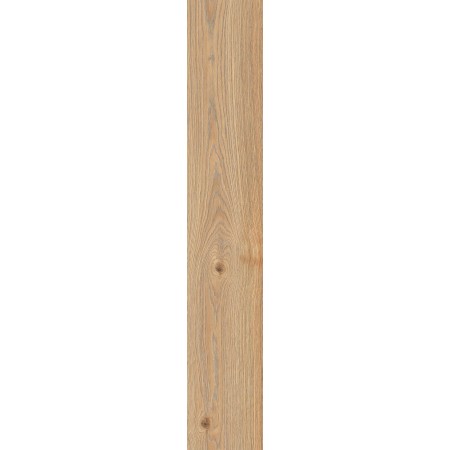 RAGNO CERAMICHE SECRET NATURALE 20X120 RET