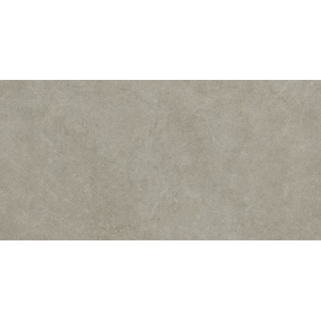 RAGNO CERAMICHE REALSTONE ARGENT GHIACCIO 60X120 6mm RECT