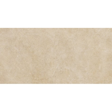 RAGNO CERAMICHE REALSTONE ARGENT MIELE 60X120 6mm RECTIFIED