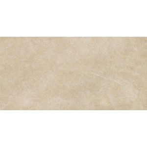 RAGNO CERAMICHE REALSTONE ARGENT MIELE 75X150 RECTIFIED