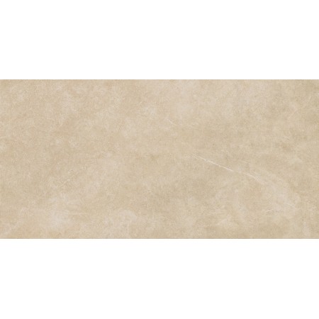 RAGNO CERAMICHE REALSTONE ARGENT MIELE 75X150 RECTIFIED