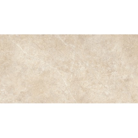 RAGNO CERAMICHE REALSTONE ARGENT SABBIA 60X120 RECTIFIED