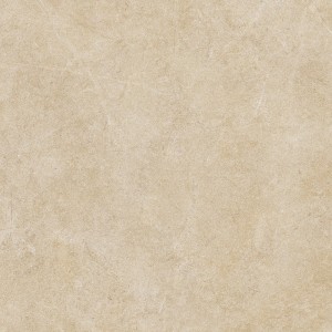 RAGNO CERAMICHE REALSTONE ARGENT MIELE 60X60 RECT