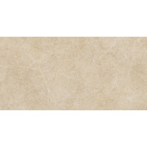 RAGNO CERAMICHE REALSTONE ARGENT MIELE 30X60 RECT