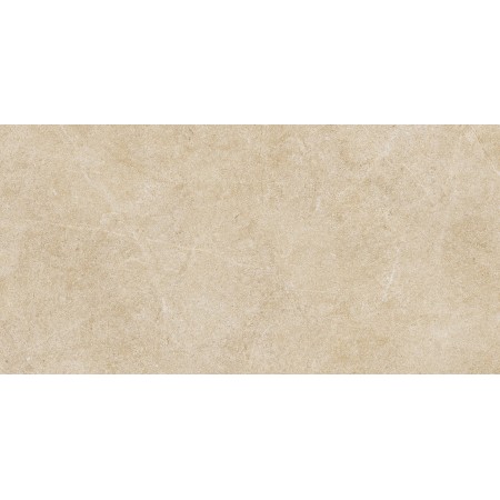 RAGNO CERAMICHE REALSTONE ARGENT MIELE 30X60 RECT