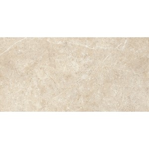 RAGNO CERAMICHE REALSTONE ARGENT SABBIA 30X60 RECTIFIED