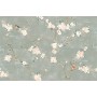 RAGNO CERAMICHE MIXED DECORO FIORE DI PESCO TOUCH VERDE 40X120 RECT