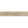 RAGNO CERAMICHE OSSIMORI AVORIO 20X120 RETT
