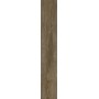 RAGNO CERAMICHE INEDITO CENERE 20X120 RET