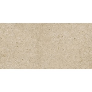 RAGNO CERAMICHE ETERNA GREIGE STRUTTURATO 60x120 RECT