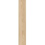 RAGNO CERAMICHE WOODSOFT BEIGE CHIARO 20X120 RET