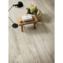 RAGNO CERAMICHE WOODMANIA IVORY 20x120