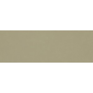 RAGNO CERAMICHE VIDA VERDE 30X90 RECT