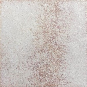 FISSORE.com EMMEVI V5438 RV 15X15 RV (STOCK DPF)