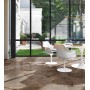 REVES REVE CHOCO GLOSSY 30X60