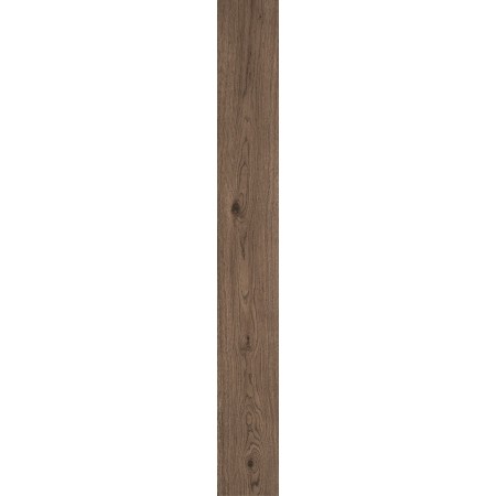 VIVO CASTANO 22.5X180 RETTIFICATO