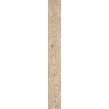 VIVO GRANO 22.5X180 RETTIFICATO