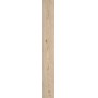 VIVO GRANO 22.5X180 RETTIFICATO