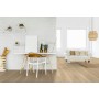 CASAPARK 209 OAK FLOUR 14 quiet natural oil 14 x 209 x 2200 mm