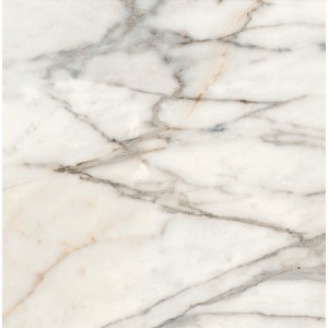 FABULA GOLDEN NATURALE 60X60 RETT.