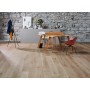 CASAPARK 209 OAK STONE 15 lively natural oil 14 x 209 x 2200 mm