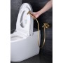MUNICH IDROSCOPINO BIDET CON MISCELATORE ACQUA CALDA E FREDDA ORO SPAZZOLATO