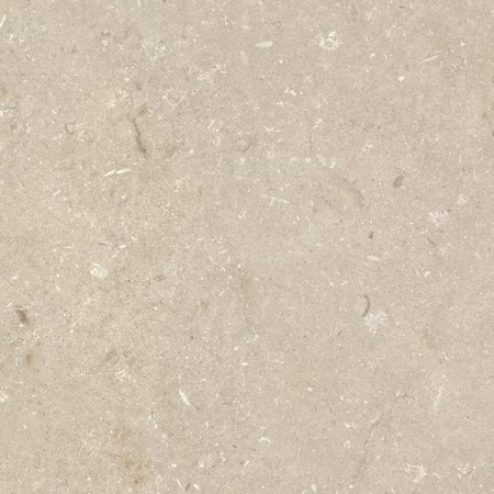 ULTRA SHELLSTONE BEIGE 60X60 RETT 20MM