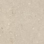 ULTRA SHELLSTONE BEIGE 60X60 RETT 20MM
