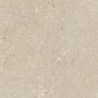 ULTRA SHELLSTONE BEIGE 60X60 RETT 20MM