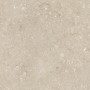 ULTRA SHELLSTONE BEIGE 60X60 RETT 20MM