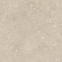 ULTRA SHELLSTONE BEIGE 60X60 RETT 20MM