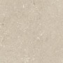 ULTRA SHELLSTONE BEIGE 60X60 RETT 20MM