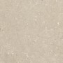 ULTRA SHELLSTONE BEIGE 60X60 RETT 20MM