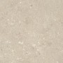 ULTRA SHELLSTONE BEIGE 60X60 RETT 20MM