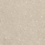 ULTRA SHELLSTONE BEIGE 60X60 RETT 20MM