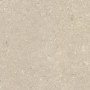 ULTRA SHELLSTONE BEIGE 60X60 RETT 20MM
