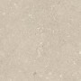 ULTRA SHELLSTONE BEIGE 60X60 RETT 20MM
