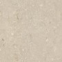 ULTRA SHELLSTONE BEIGE 60X60 RETT 20MM