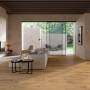 ALBA FLOOR ROBLE 20X120 RETTIFICATO