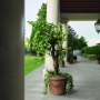 APPEAL_FLOOR GREY OUTDOOR 30X60 RETT