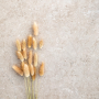 MYSTONE_LIMESTONE20 60X120 TAUPE RETTIFICATO 20mm